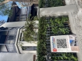 Exterior-2025-Heritage-Old-Homes-42