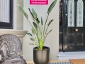 Interior-2025-Fresh-Drops-187