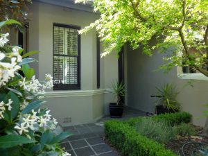 Semi Balmain