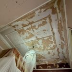 Before ornate ceiling restoration and preparation work in Annandale heritage home