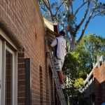 Exterior house painters preparing eaves and timber trims in Haberfield Sydney