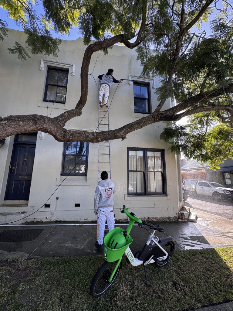Exterior surface preparation and cleaning on heritage terrace in Annandale